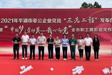 浙江鸿禧能源股份有限公司210电池技术攻关项目组荣获平湖市非公企业“党员先锋团队”荣誉称号